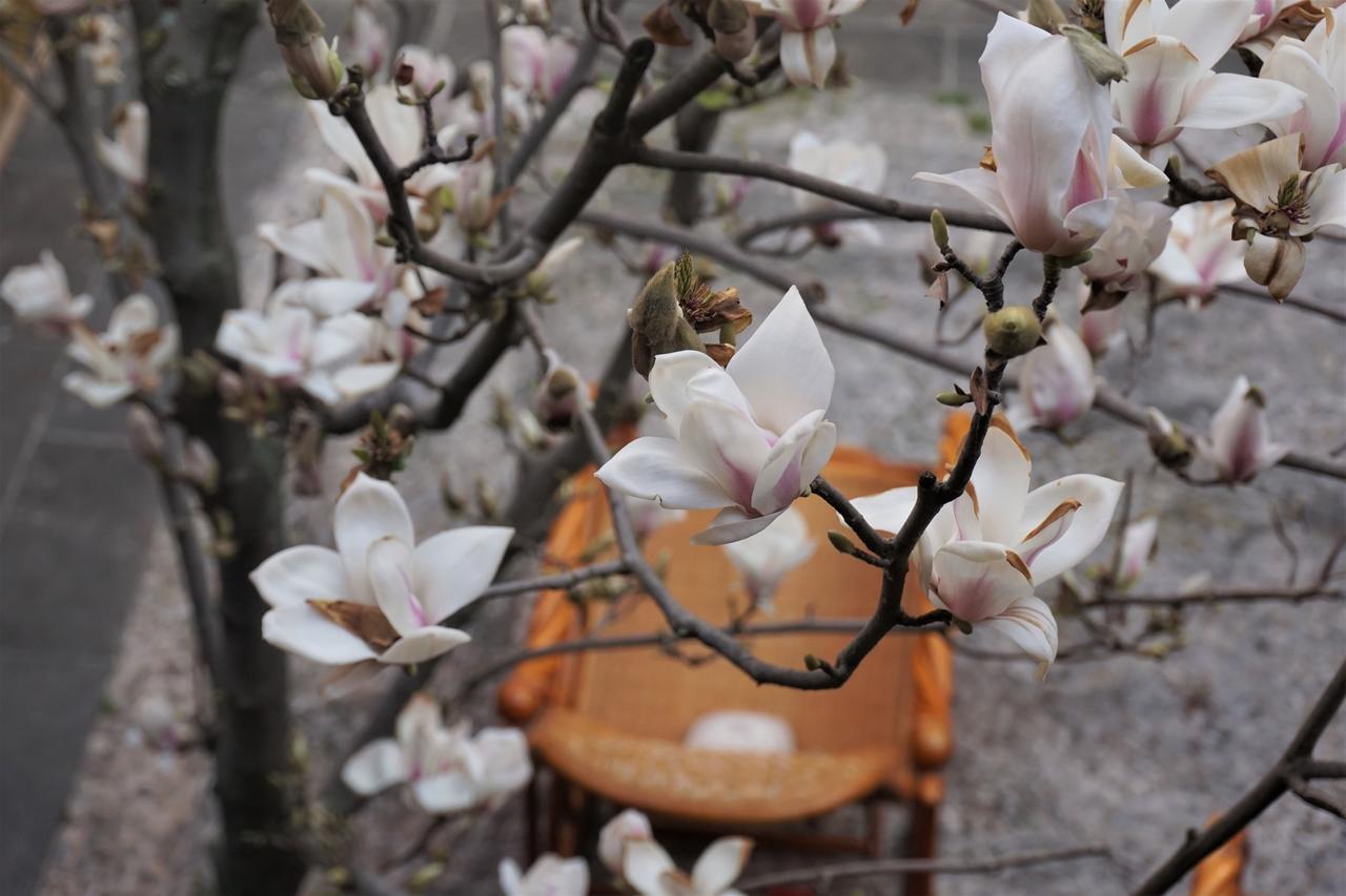 Banxi Caotang Inn ลี่เจียง ภายนอก รูปภาพ